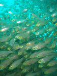 2009.07.9-13 132.jpg
